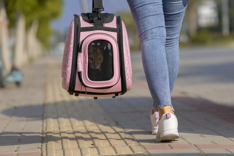 Pink cat carrier with mesh ventilation being carried outdoors by a person walking on a sunny pathway.