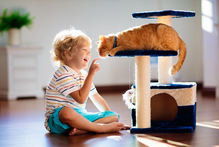 A child is playing with the cat while the cat sits on the cat tree.