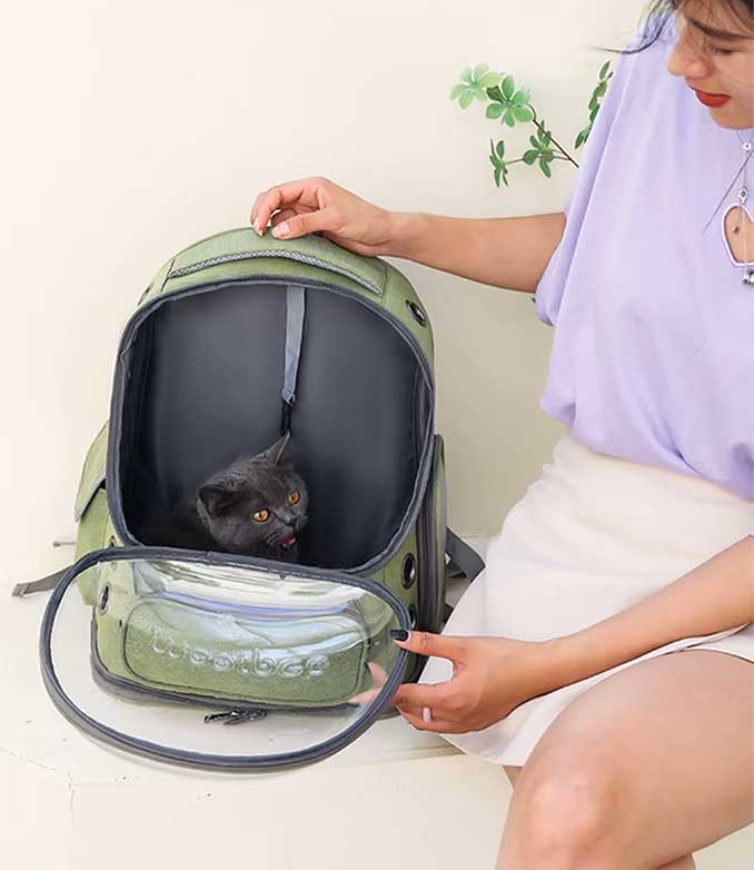 Transparent Pet Cat Carrier Backpack for Cats & Small Dogs – Breathable, Lightweight, Travel-Friendly Design