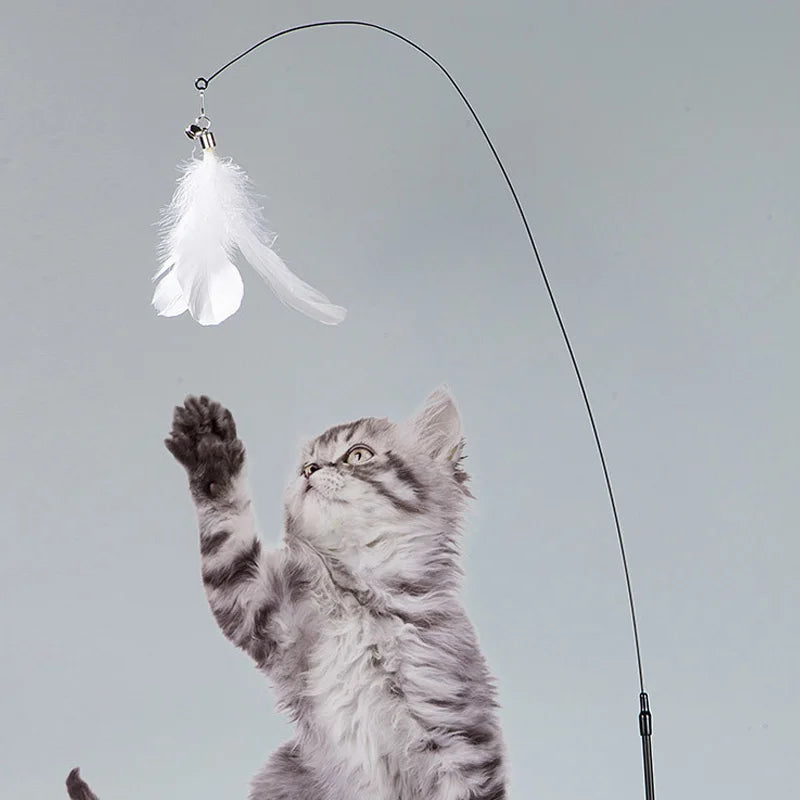 Interactive Cat Feather Wand Toy Kitten Play Set with Suction Cup & 2 Feather Replacements