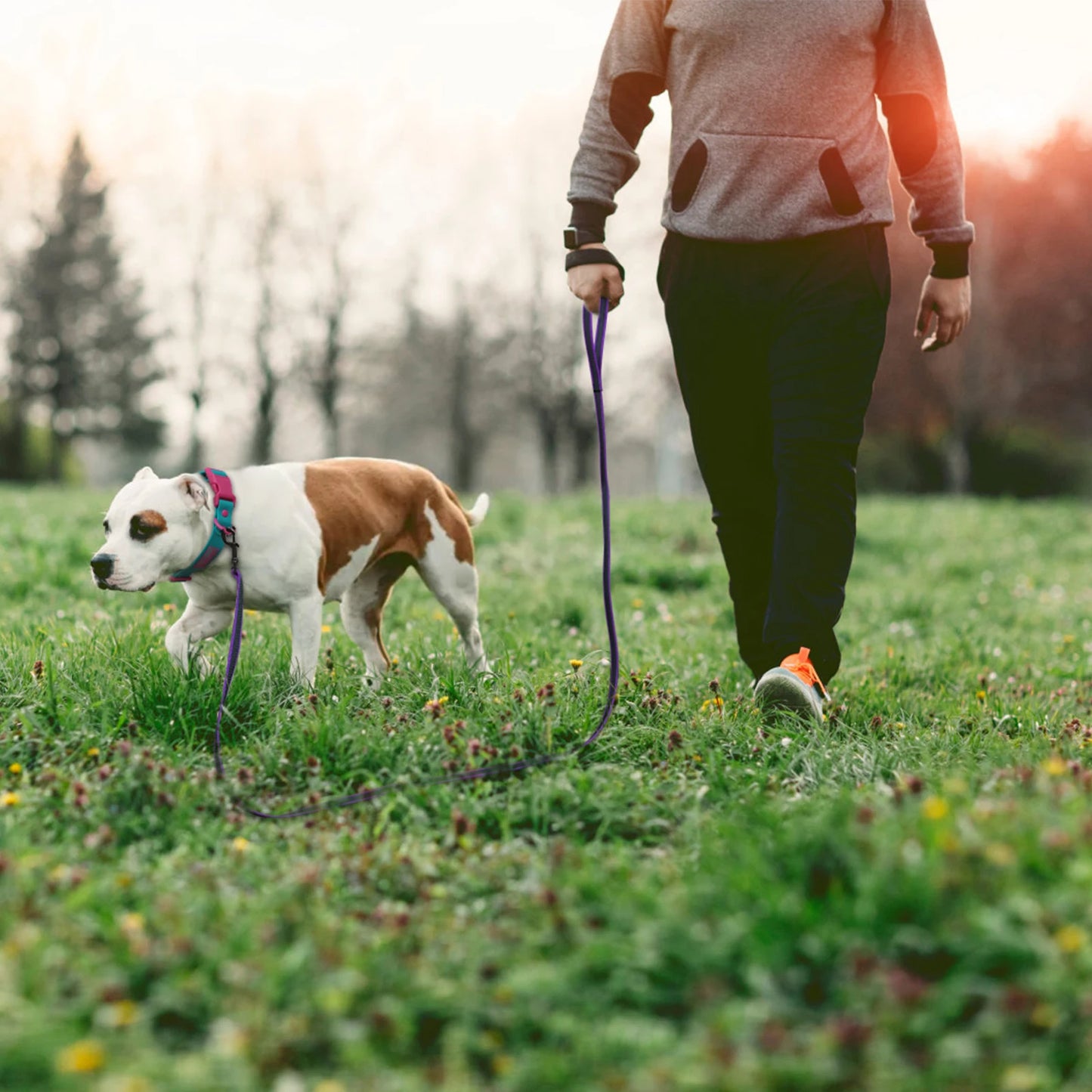 Durable Dual-Color Dog Leash - Training Leash