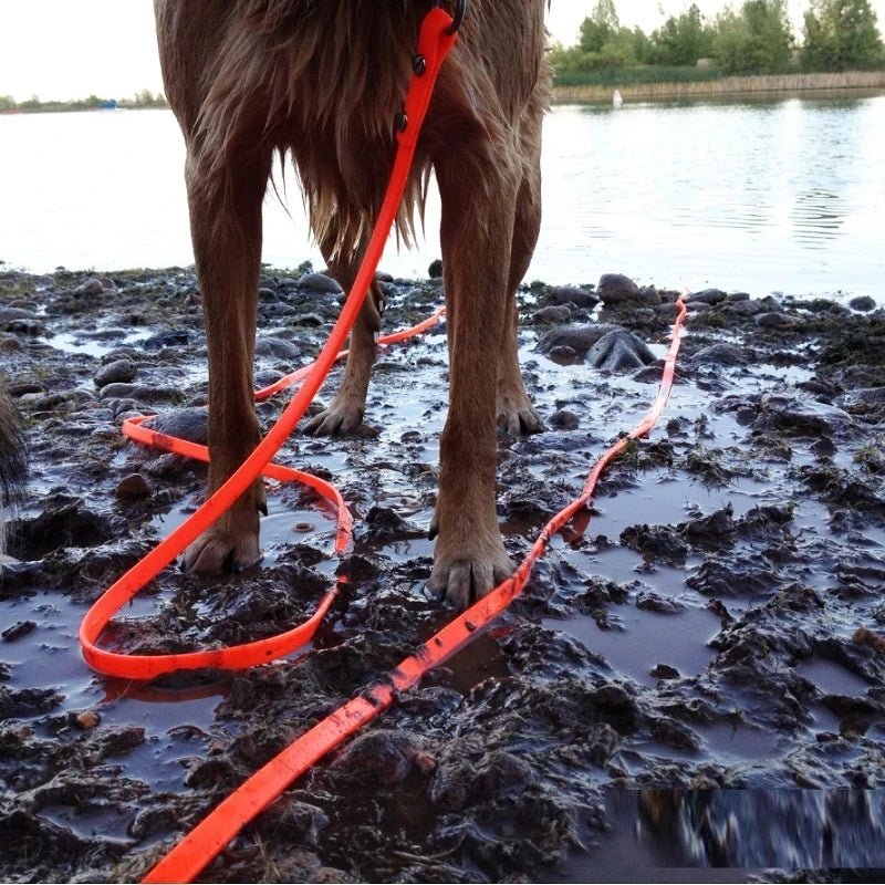 Waterproof Dog Lead - Heavy Duty, Easy-to-Clean, PVC Training Lead for All Dog Sizes (3m/5m/10m/15m)