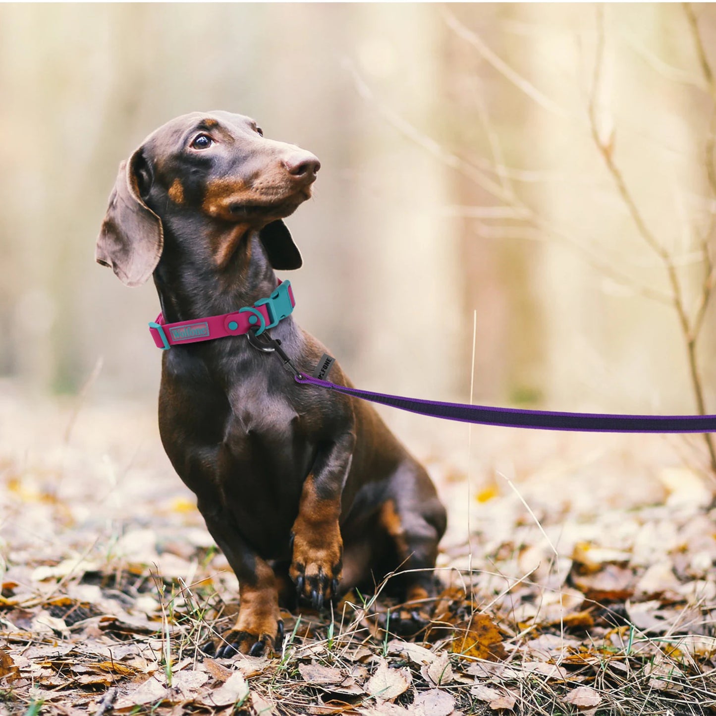 Durable Dual-Color Dog Leash - Training Leash