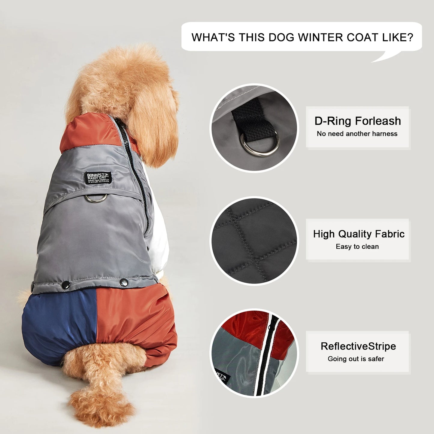 Key features of the winter dog jacket, including D-ring and reflective stripe