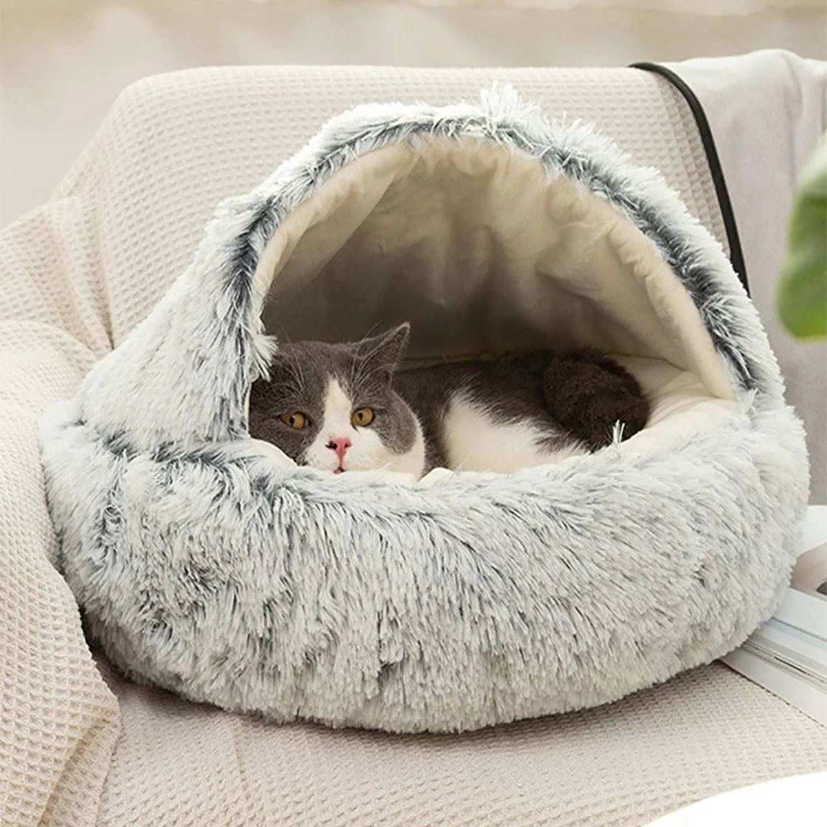 A cat relaxing in a cozy, hooded cat bed made of soft, plush material. The bed provides a warm and secure space for cats to sleep and unwind.