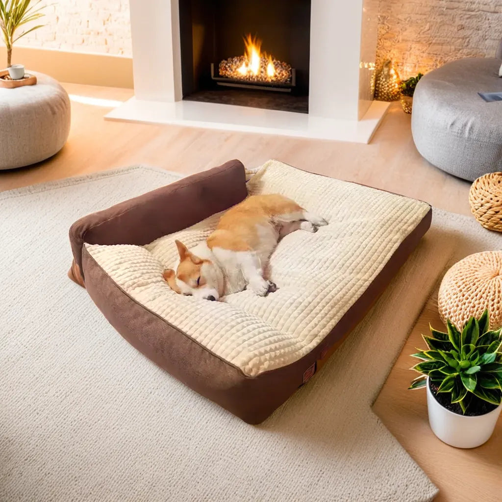 A relaxed dog lying on a plush, luxurious dog bed in a cozy indoor setting, surrounded by a plant, blanket, and toy, highlighting the bed's premium comfort and quality.