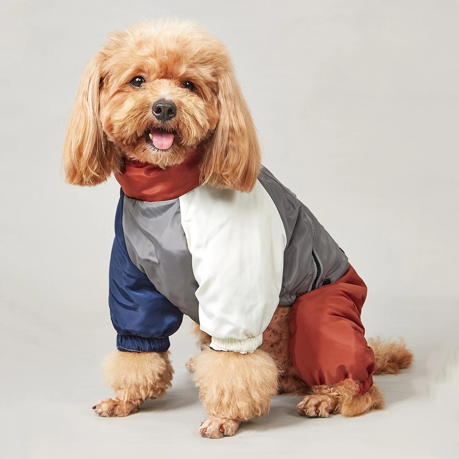 Dog wearing a  grey blue & white colour winter jacket showing warmth, softness, and outdoor suitability