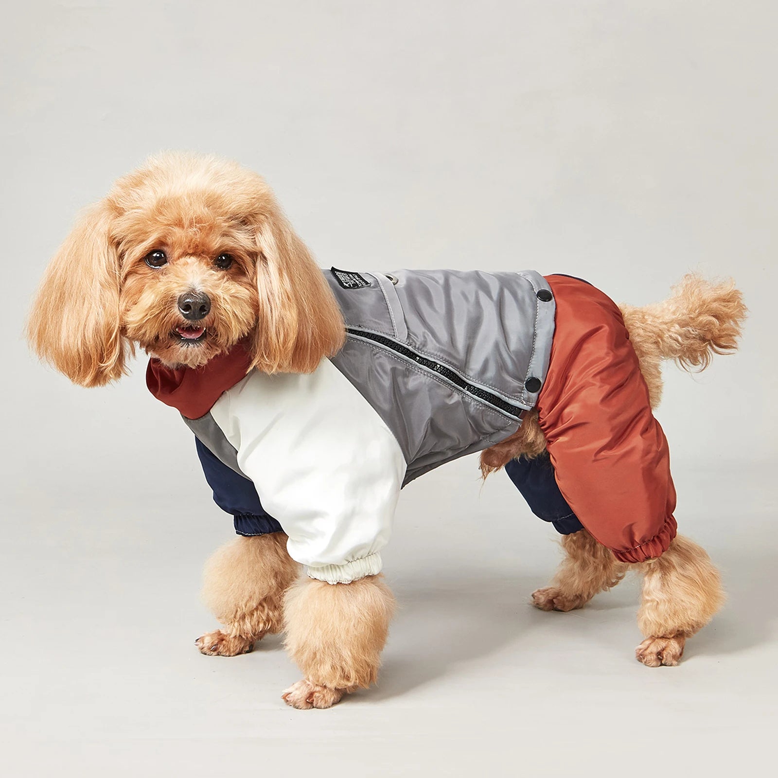 Dog wearing a white grey & red winter jacket showing warmth, softness, and outdoor suitability