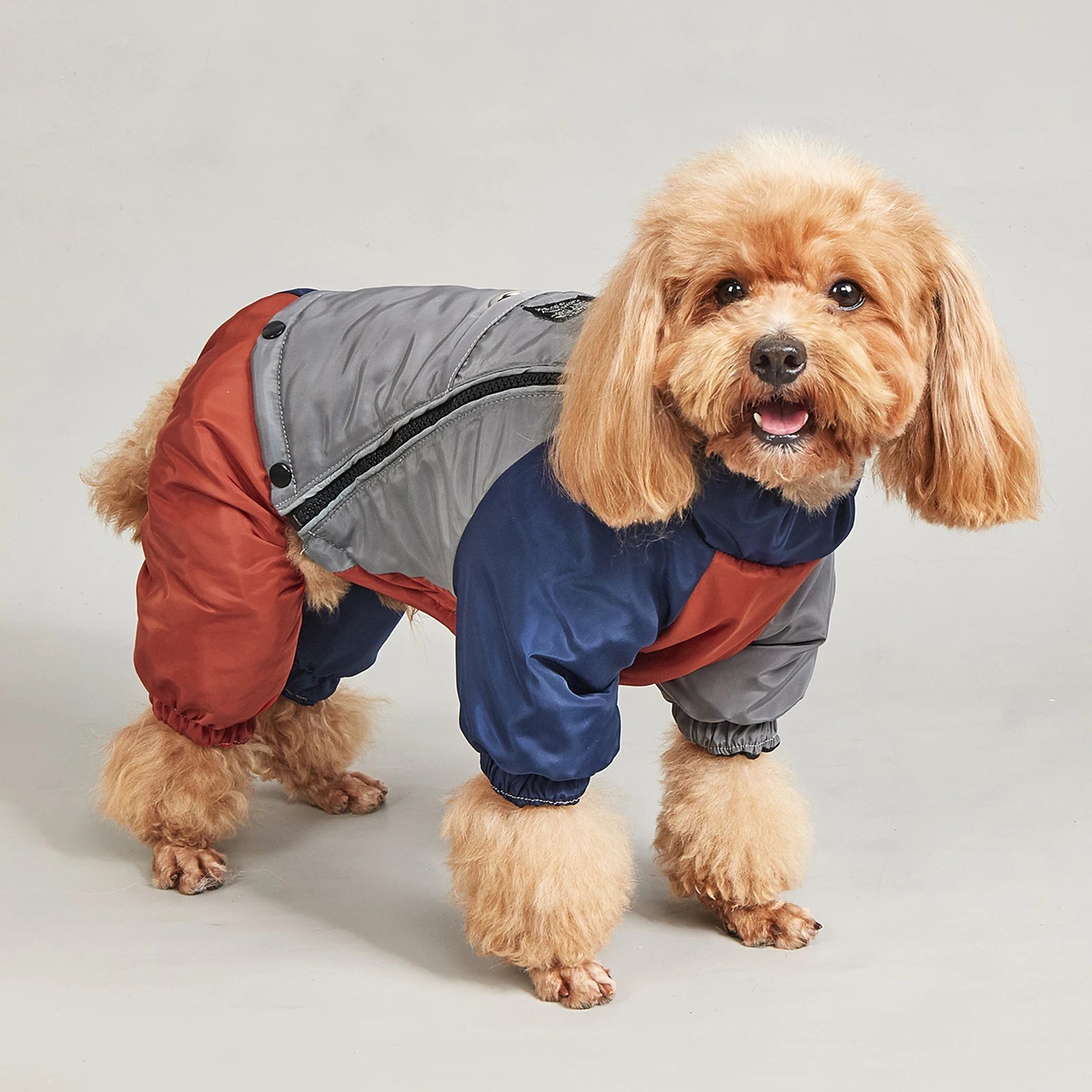 Multi-colour winter dog jacket - side view