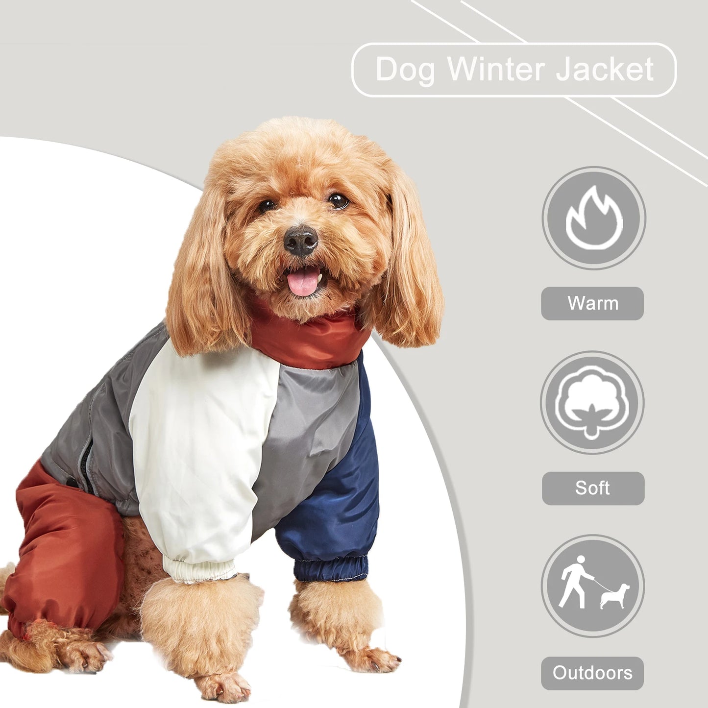 Dog wearing a warm soft and outdoor winter jacket