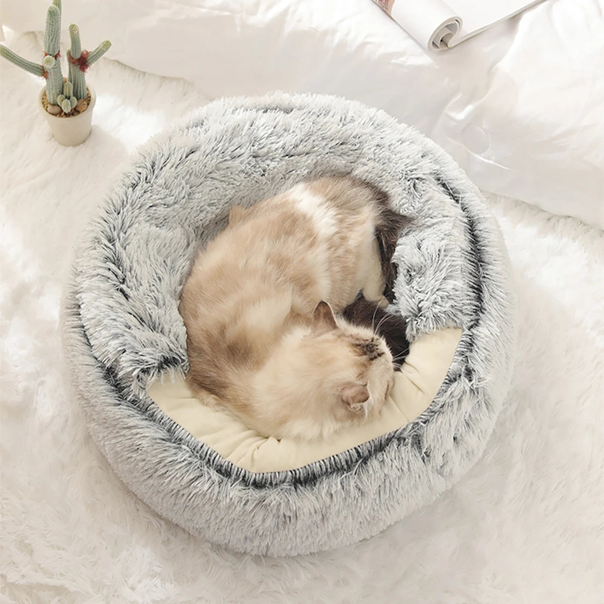 Two cats snuggling together in a cozy, round cat bed, showcasing the comfort and companionship provided by the pet bed.